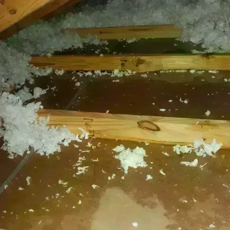 Attic Water Damage in Monte Sereno, CA